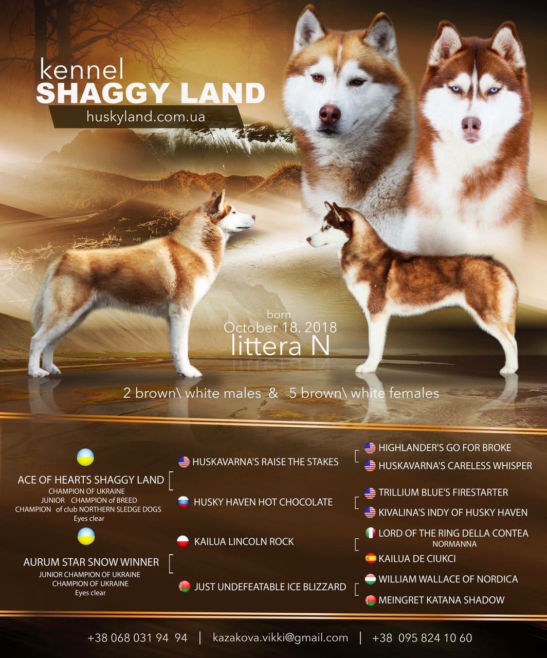 щенки сибирских хаски продаются питомник Shaggy Land